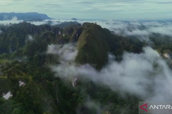 Pecinta alam di Kutim dorong percepatan pengakuan Geopark Sangkulirang-Mangkalihat