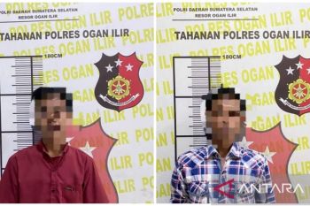 BGN sebut Anggaran Rp20 T dari Danantara untuk peternakan ayam