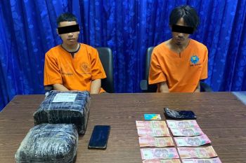 BNNP Bali: Dua jaringan ganja Sumatera-Bali libatkan tiga remaja