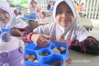 IDAI: Penuhi nutrisi lengkap anak cegah gangguan kecerdasan