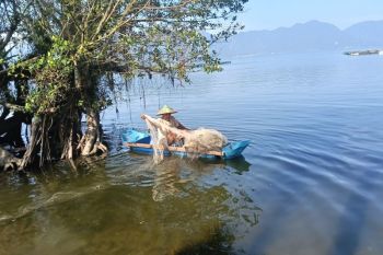 Nelayan Danau Maninjau Agam mulai cari ikan usai banjir bandang