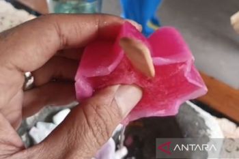 Polisi dalami pengakuan pedagang es gabus yang dianiaya saat ditangkap