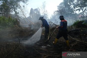 BPBD Kalbar laksanakan program pembasahan lahan cegah karhutla