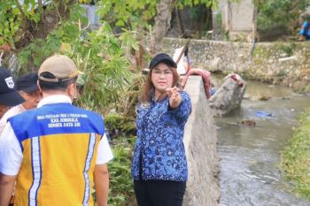 Pemkab Donggala: Realisasi program cetak sawah baru capai 80 hektare