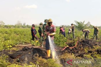 BPBD: Kebakaran lahan di Aceh Barat meluas menjadi 50,2 Ha