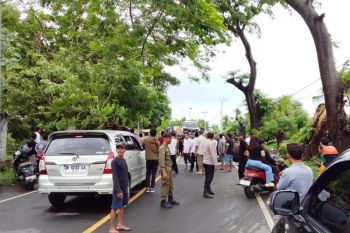 Pohon tumbang, Jalur menuju Pelabuhan Khayangan lumpuh total