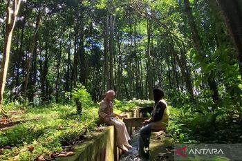Dispar Rejang Lebong optimalkan pemanfaatan potensi hutan kota sebagai destinasi wisata favorit