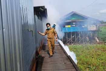 Pemkot Palangka Raya gencar cegah penyebaran DBD lewat pengasapan