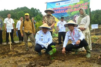 Pemkab Tanggamus dan Rainforest Alliance bagikan bibit kopi untuk pemulihan lingkungan