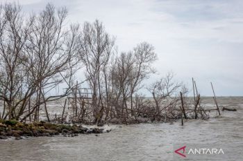PBB: Kenaikan permukaan laut berlipat ganda dalam 10 tahun