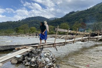 Keterbatasan tak halangi petani di Gayo Lues jual kemiri