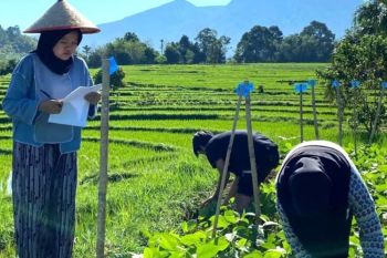 UNIB buka S1 Penyuluhan Pertanian siapkan SDM pertanian wilayah pesisir