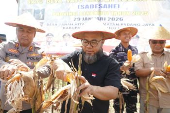 Bengkulu perkuat basis ketahanan pangan desa lewat SADESAHE
