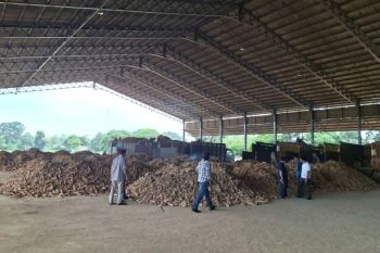 Lampung apresiasi perusahaan yang patuhi Pergub tata kelola singkong