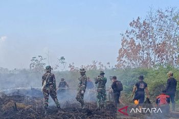 BPBD: Kebakaran lahan di Aceh Barat berhasil dipadamkan seluas 23,4 Ha