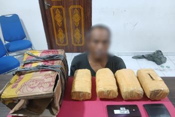 Berawal dari laporan Call Center 110, Polda Riau gagalkan peredaran ganja di Pekanbaru