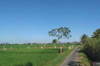 Pemerintah Pusat kirim Rp11,93 triliun TKD ke Bali selama 2025