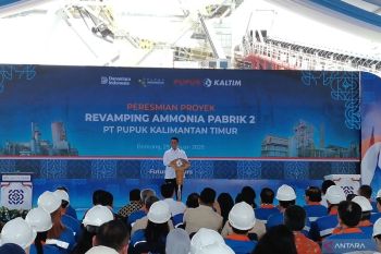 Mentan sebut revitalisasi industri pupuk hingga 2029 bisa turunkan harga 20 persen