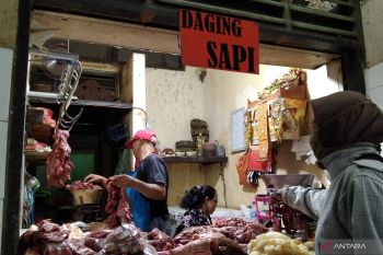 Realisasi KUR di Bali pada 2025 capai Rp10,80 triliun