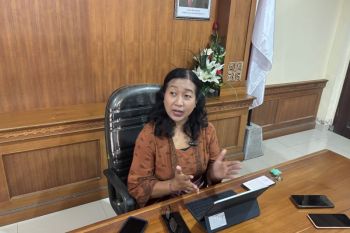 Bali antisipasi penyebaran virus Nipah melalui babi