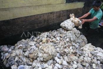 Kemendag terbitkan aturan baru ekspor karet alam SIR