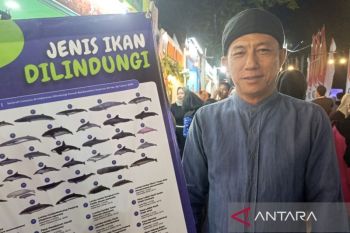 Diskan Kotim bentuk BLUD untuk kemandirian sektor perikanan