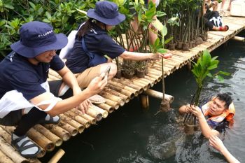 Fluidra berupaya lindungi mangrove sebagai investasi berkelanjutan