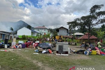 Pemkab Jayapura deteksi kasus malaria seluruh kampung