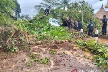 BPBD Gianyar lanjutkan evakuasi material longsor jalur wisata Ceking-Kintamani