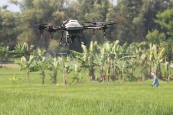 Kementan mendukung pemanfaatan 'drone' untuk pertanian berkelanjutan
