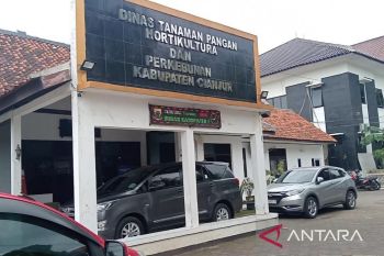 Dinas TPHPKP Cianjur: Alokasi pupuk subsidi sebanyak 78 ribu ton