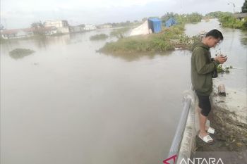 Pemkab Pati usulkan pembuatan sodetan sungai Silugonggo untuk atasi banjir