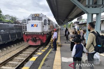 Bupati Barut Tanam Jagung Hibrida di Mampuak 