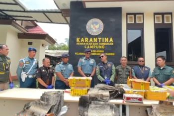 Balai Karantina Lampung gagalkan penyelundupan satwa ilegal