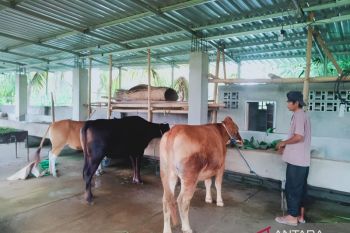 Pasangan Sabar/Reza bidik gelar perdana Super 1000 meski lelah