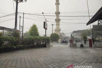 BMKG imbau masyarakat Kalteng waspadai hujan disertai angin kencang