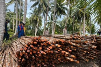 Kajari Batam musnahkan barang bukti tindak pidana dari 167 perkara