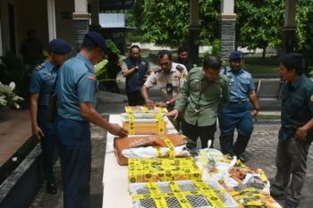 Mentan tegaskan tak ada kompromi praktik curang rugikan petani