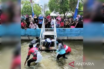 Festival Mangaruhi jadi media kampanye perikanan ramah lingkungan