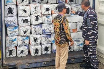 Kemenhut bersama TNI AL gagalkan penyelundupan arang bakau di Tanjung Priok