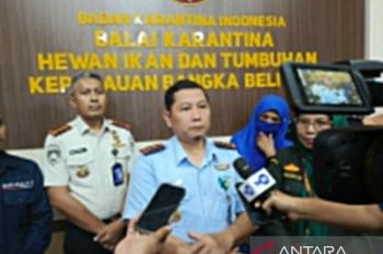 BKK: Masyarakat hindari kontak kelelawar cegah virus nipah