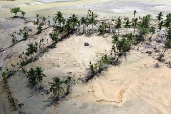 Bantuan optimalisasi sawah di Padang Pariaman