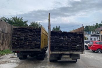 Polda Riau ringkus dua pria pengangkut kayu ilegal di suaka margasatwa Kerumutan