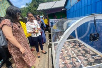 Solar innovation helps Papua fishermen preserve catches, boost yields