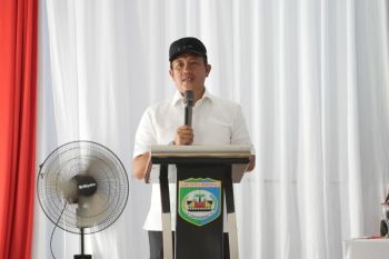 Morowali pastikan layanan listrik 24 jam di kepulauan mulai Maret