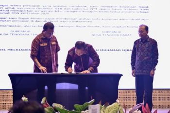 Asita NTT sarankan rute penerbangan baru perkuat konektivitas Sunda Kecil