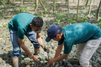 Perusahaan tambang wajib perkuat operasional bertanggung jawab