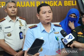 BKK Babel migrasi kelelawar dan burung berpotensi sebarkan virus Nipah