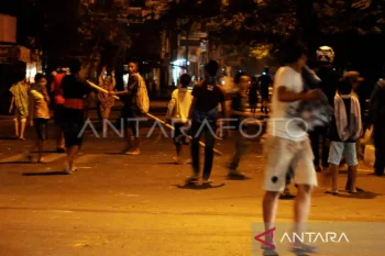 Legislator usulkan pohon lontar jadi etanol