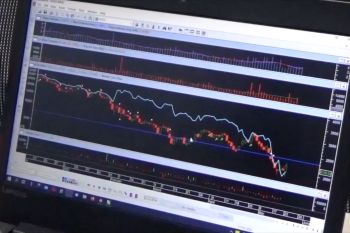 BEI Sultra catat 33 ribu investor baru tahun 2025 didominasi kaum muda